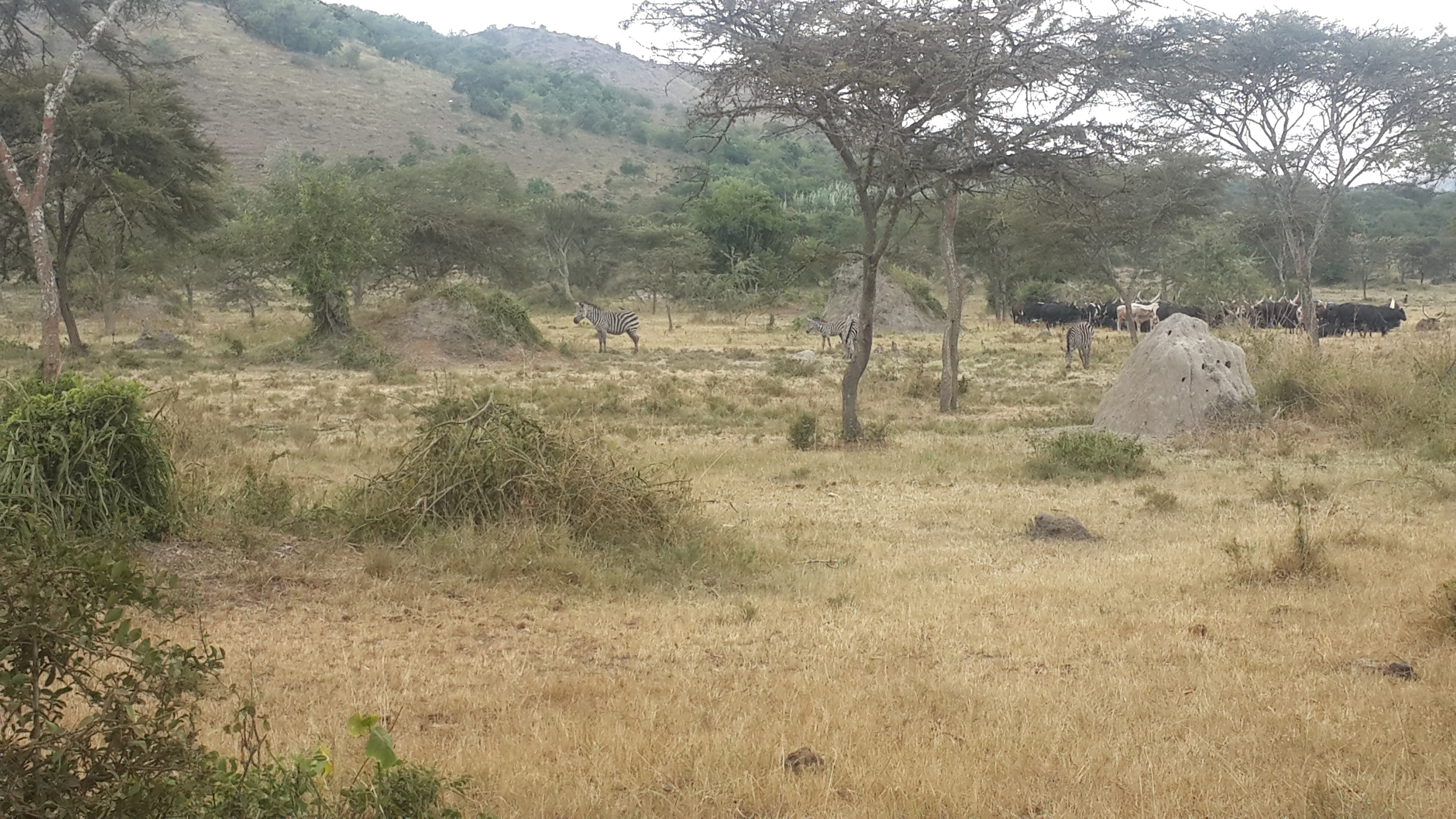 Science driven field work image 10